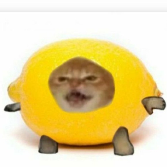 Meet your Posher, Kate - Picture 3 of 7